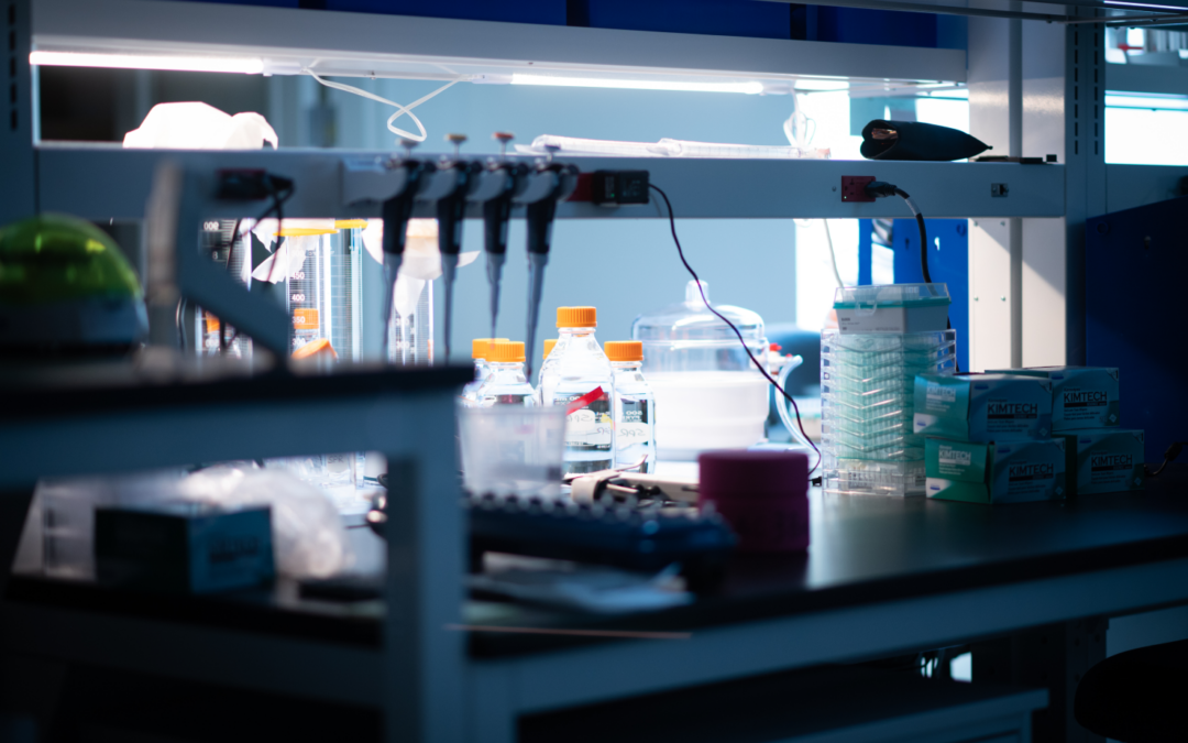 First-in-Human, Proof-of-Mechanism Phase 1 Study of the Oral MRGPRX2 Antagonist SEP-631 Utilizing Short-Wave Infrared Imaging to Assess Response to an Icatibant Skin Challenge