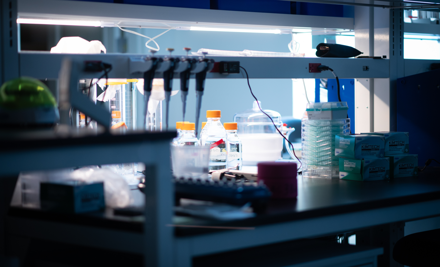 First-in-Human, Proof-of-Mechanism Phase 1 Study of the Oral MRGPRX2 Antagonist SEP-631 Utilizing Short-Wave Infrared Imaging to Assess Response to an Icatibant Skin Challenge