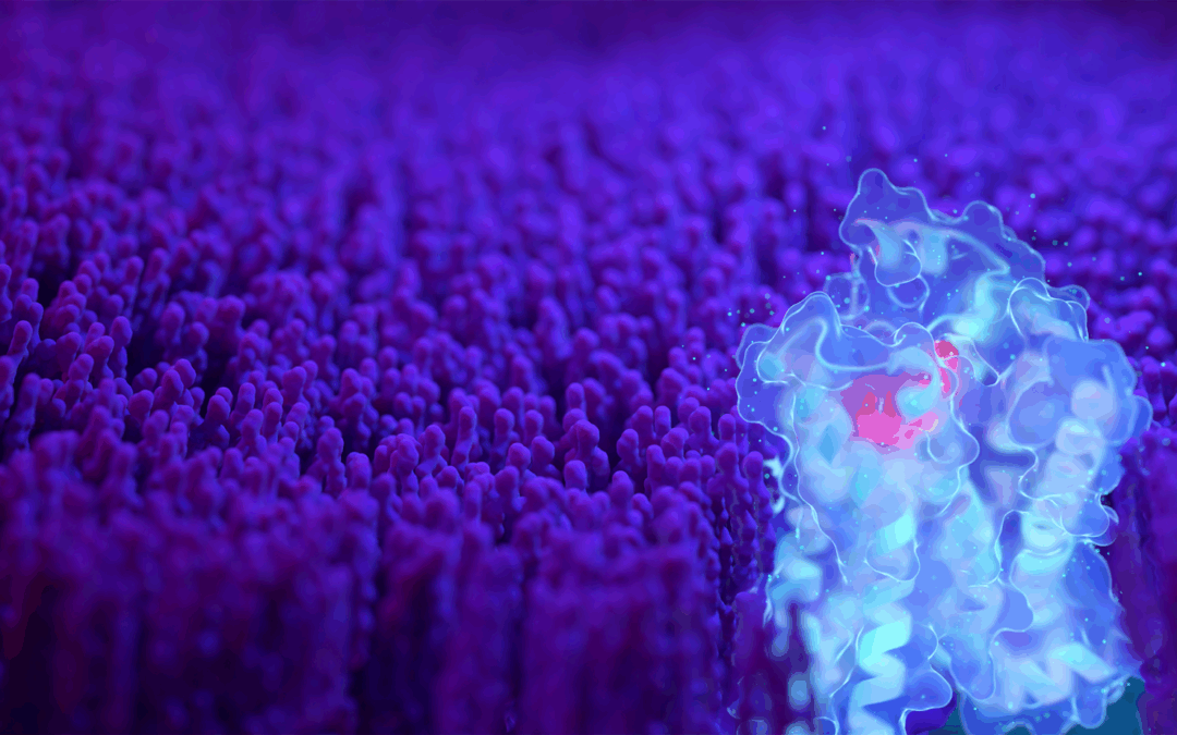 SEP-631: A Novel Selective and Potent Oral MRGPRX2 Inhibitor for the Treatment of Chronic Spontaneous Urticaria and Other Mast Cell-Mediated Diseases